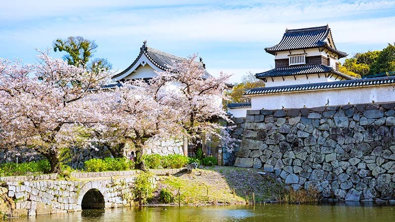 福岡市の天神結婚相談所がおすすめする婚活デートスポット-福岡城跡（ふくおかじょうあと）