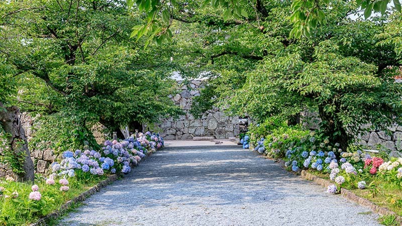 福岡市の天神結婚相談所がおすすめする婚活デートスポット-舞鶴公園（まいづるこうえん）